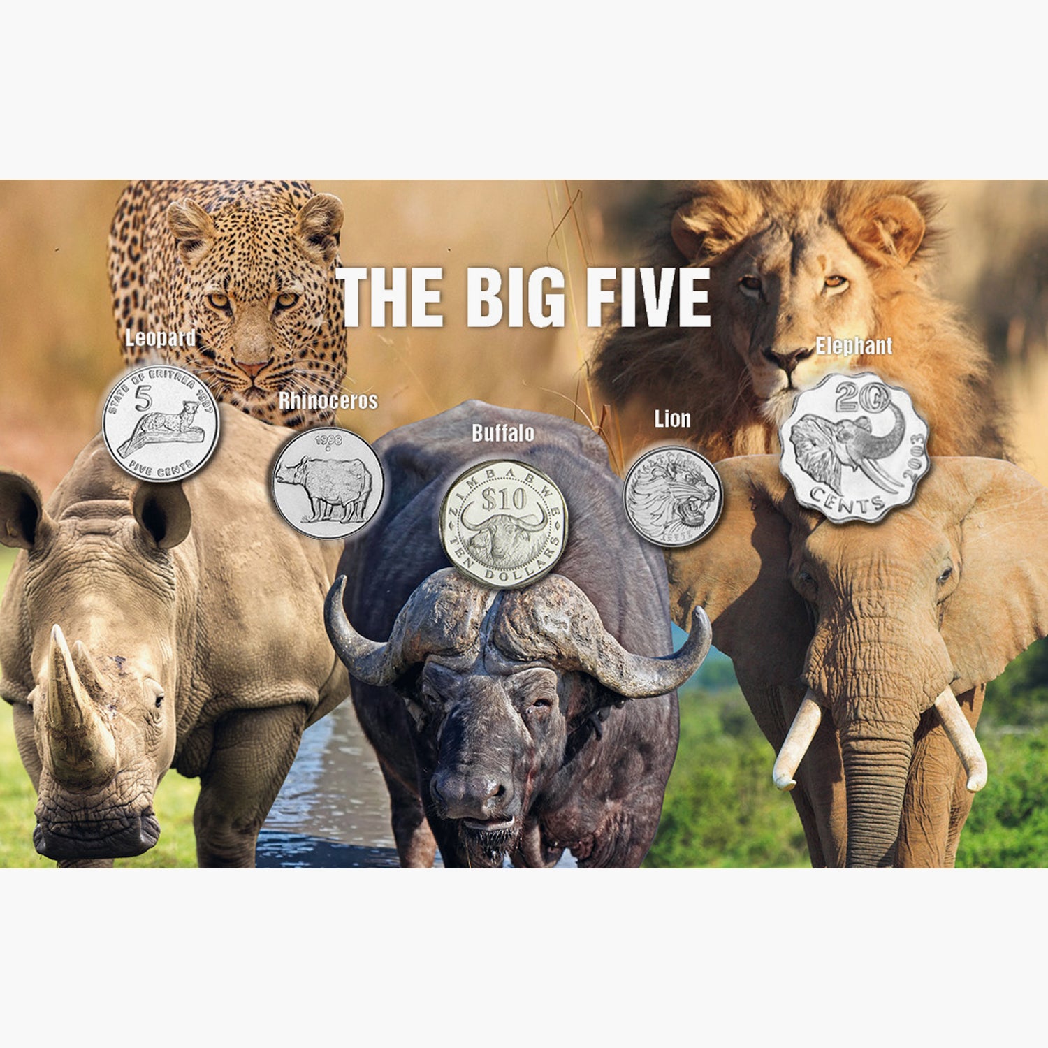 日本限定 アフリカ・タンザニア硬貨 ライオンとサイのコイン - ayamis ...