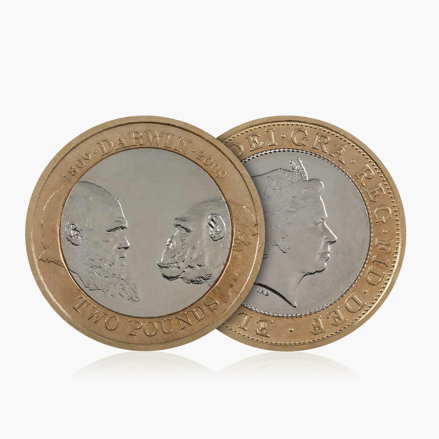 2009 Circulated Charles Darwin UK £2 Coin