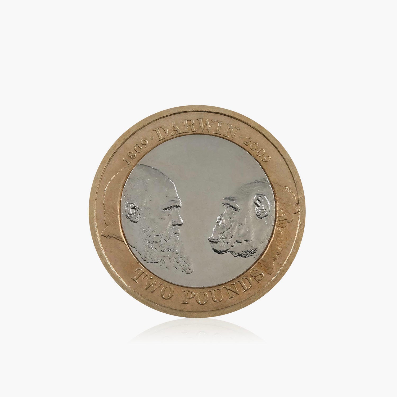 2009 Circulated Charles Darwin UK £2 Coin