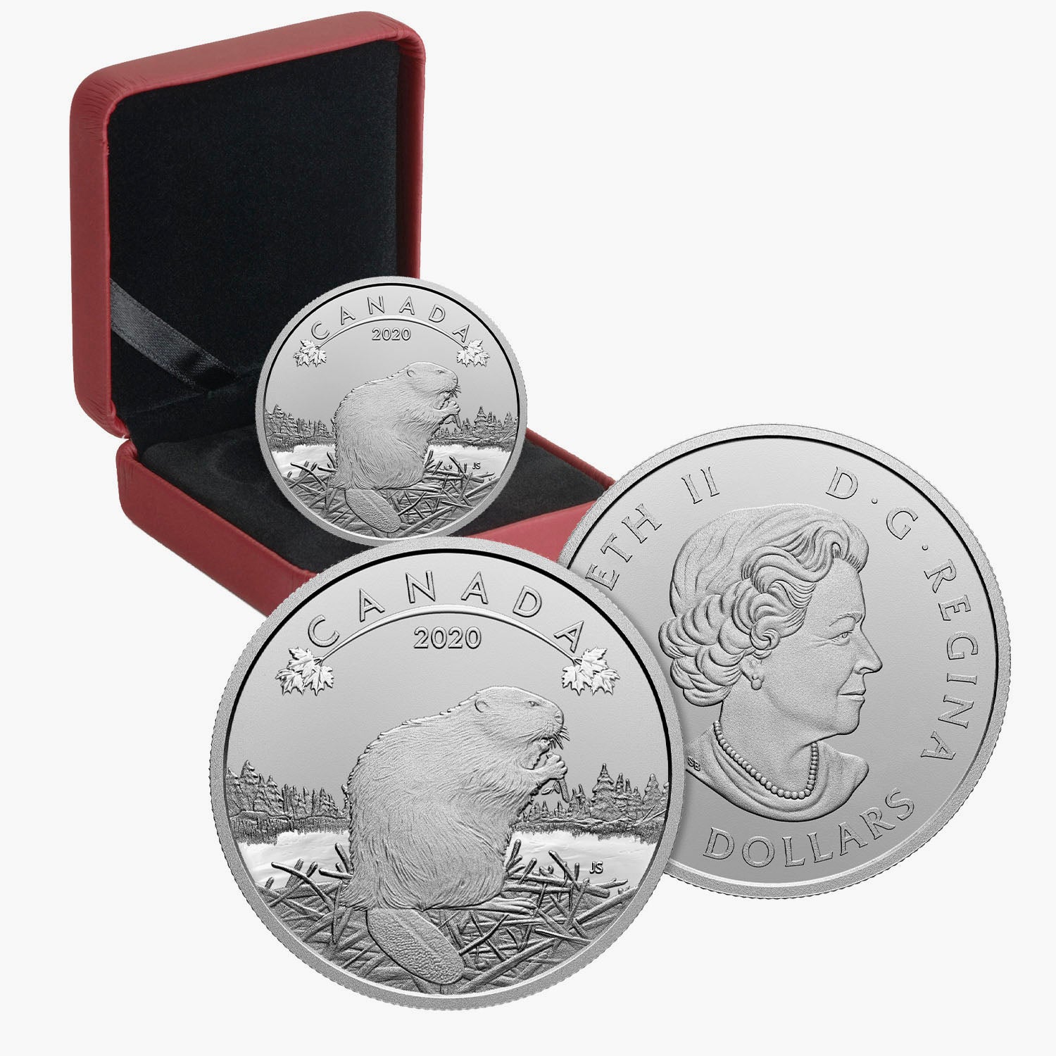 プルーフメダル2017 カナダ しし座 銀貨 1/4オンス - コレクション